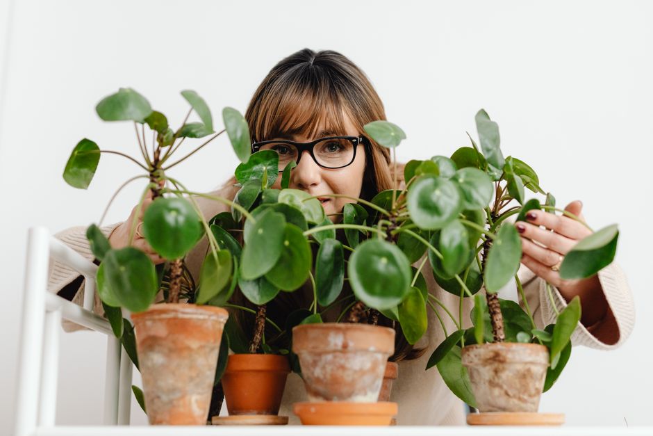 7 Critical Houseplant Mistakes That Turn Green Thumbs Brown