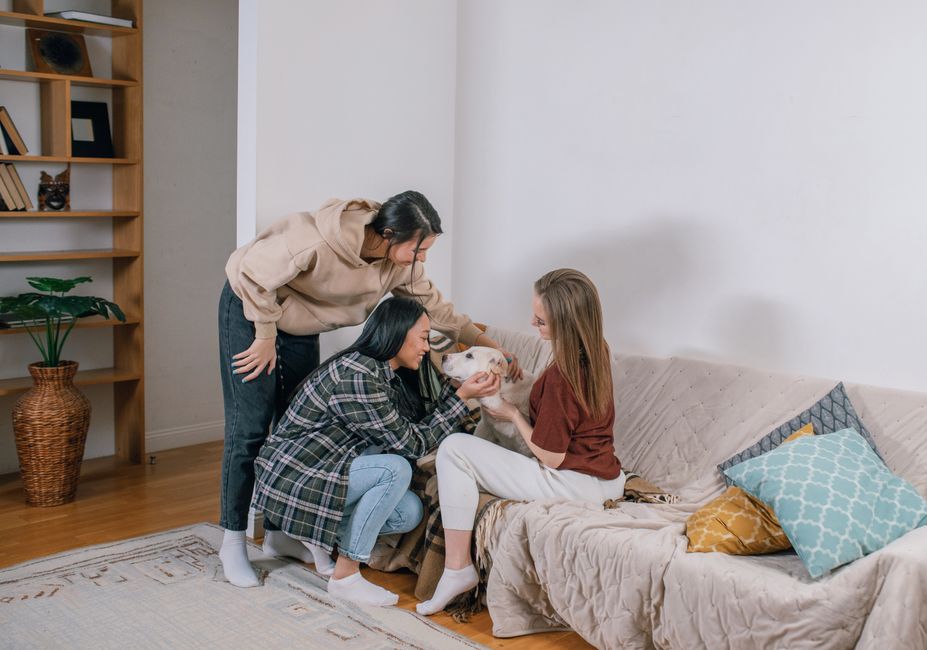 How to Welcome a New Pet Without Breaking the Bank: A Budget-Friendly Starter Guide