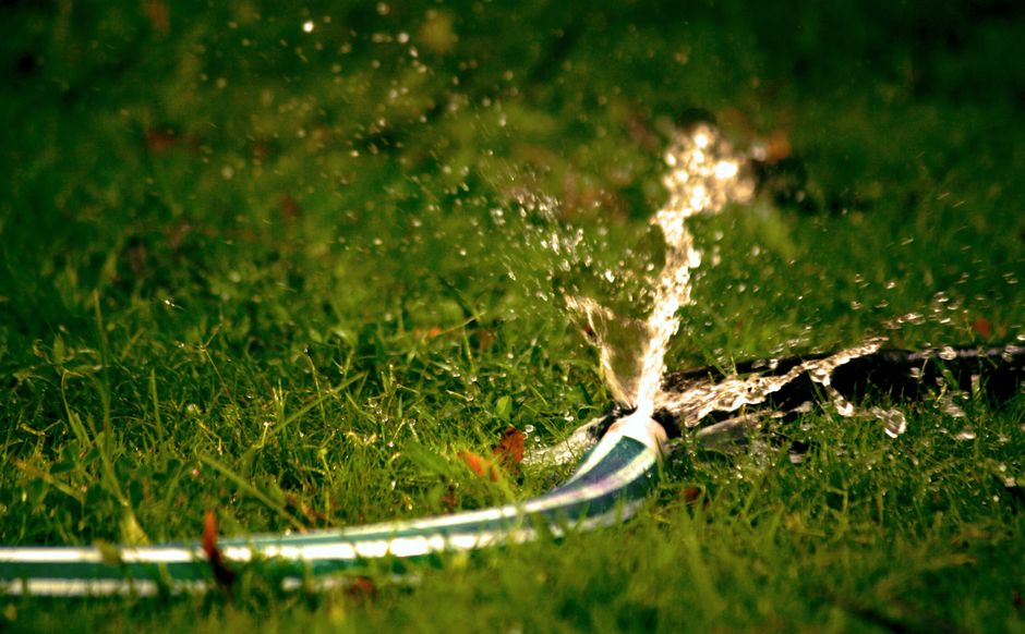 Rain Barrels vs. Hoses: Does Garden Irrigation Need a Reusable Container?