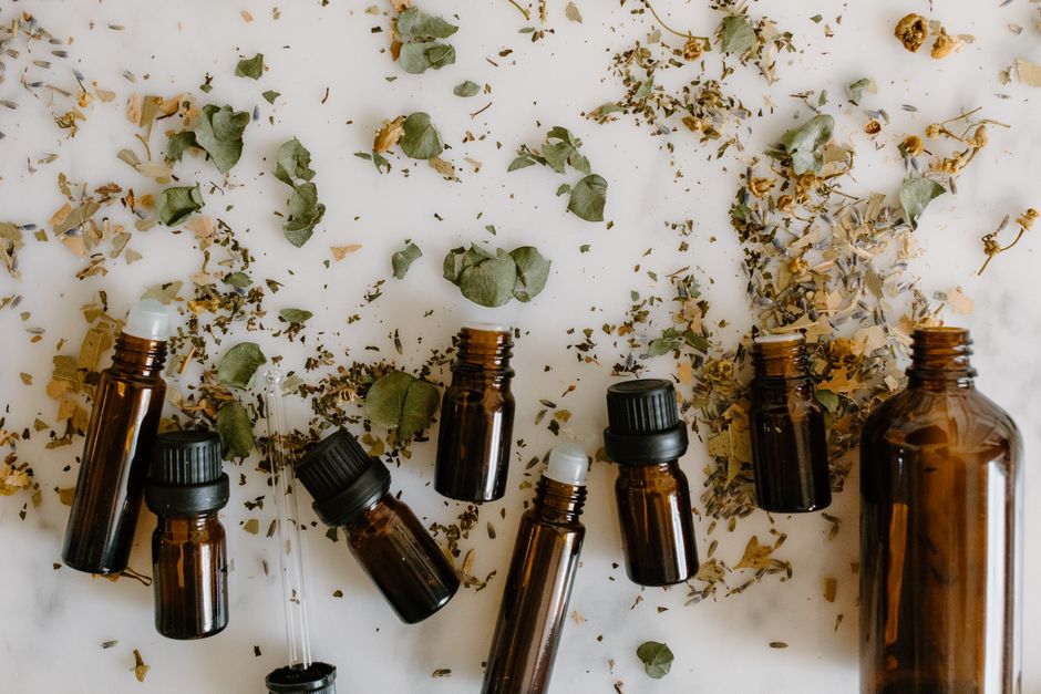 How to Ease Pet Anxiety with Natural Remedies and a Calming Routine