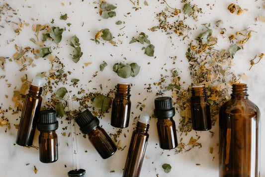 How to Ease Pet Anxiety with Natural Remedies and a Calming Routine