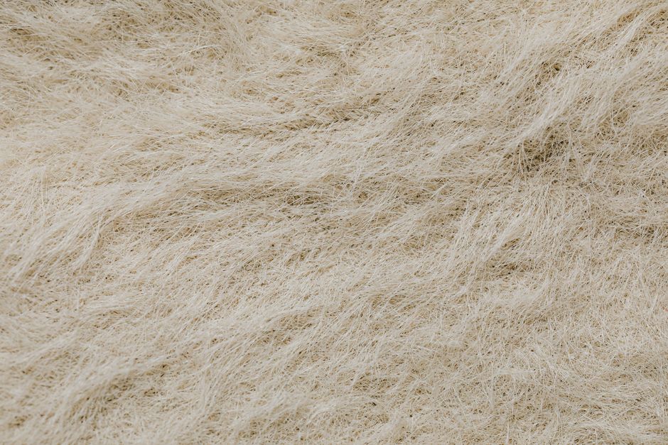 Do Natural Fibers Really Beat Synthetics, or Does Wearing What You Own Matter More?