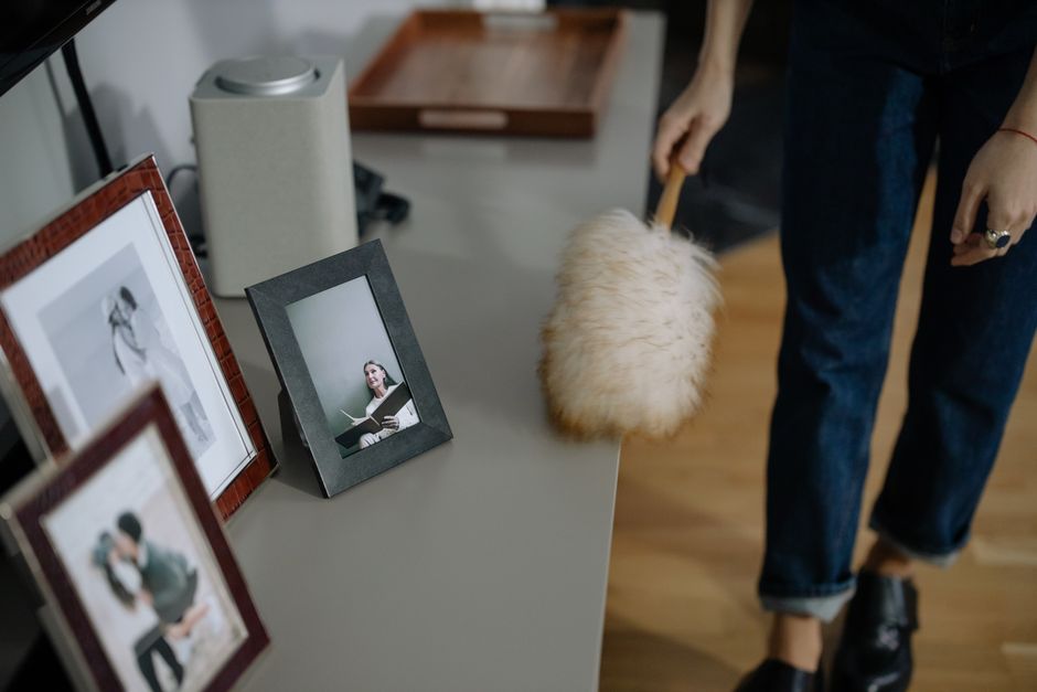 Pet Hair Removal: Why Maintenance Cleaning Beats Restorative Cleaning