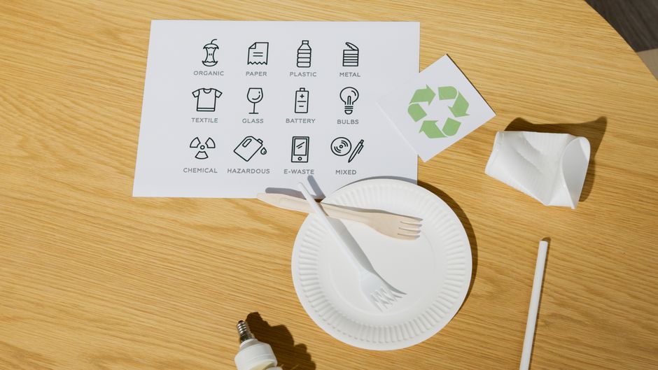 Biodegradable, Compostable, or Recyclable: What Paper Product Labels Actually Mean for Household Disposal