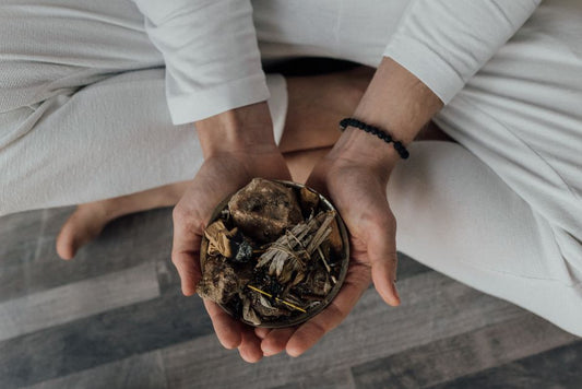Natural Remedies for Pet First Aid: A Practical Guide to Holistic Care