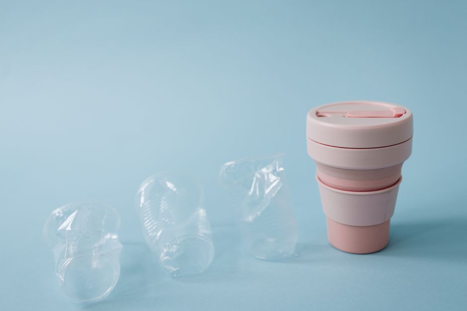 Biodegradable Products That Actually Work: Real Solutions for Genuine Waste Reduction