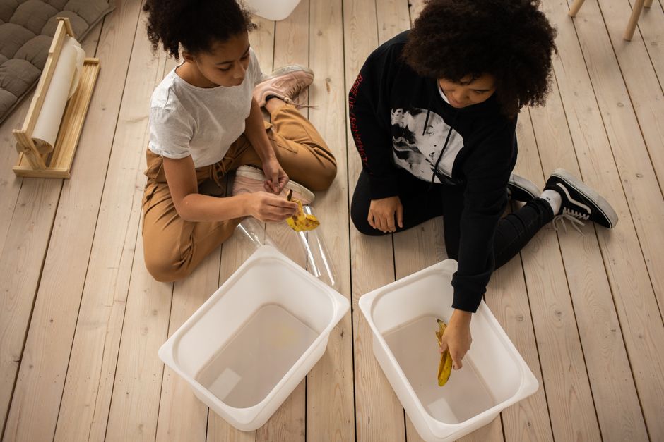 How to Reduce Food Waste with Kids: A Practical Family Guide