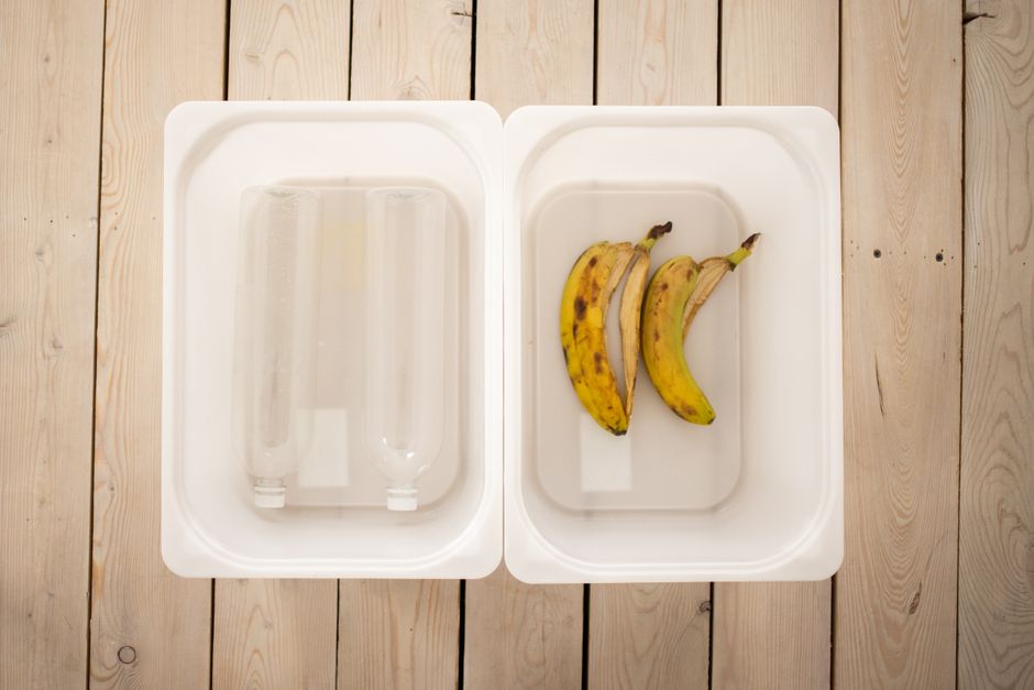 Making Leftovers Work for a Family: A Practical System to Reduce Waste and Reclaim Time