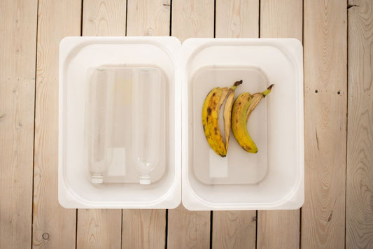 Home Composting With Kids: What Actually Happens in a Family Compost Bin