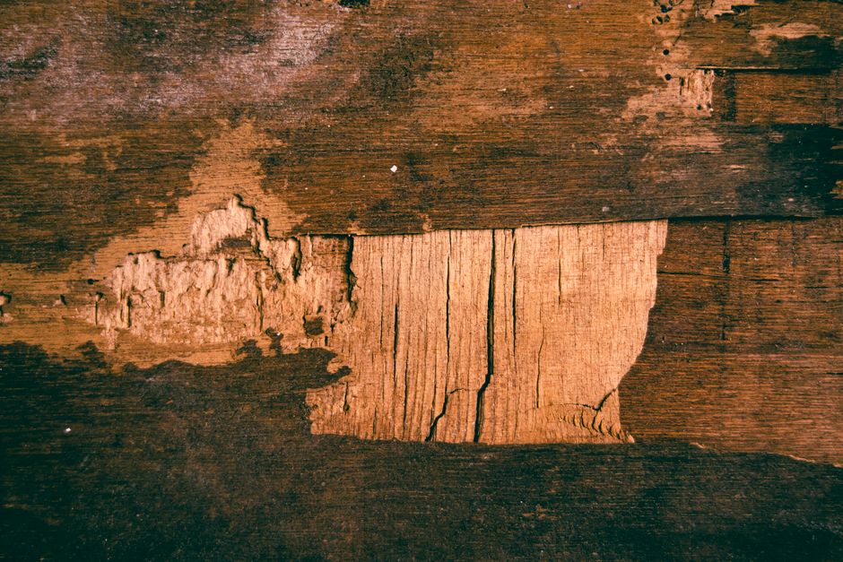How to Fix Scratched, Chipped, and Dinged-Up Trim in an Old House