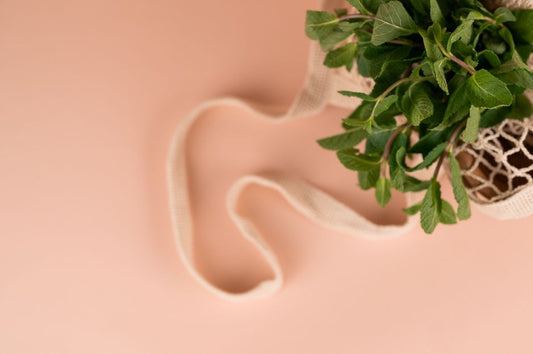 How to Store Fresh Herbs to Keep Them from Wilting or Turning Slimy