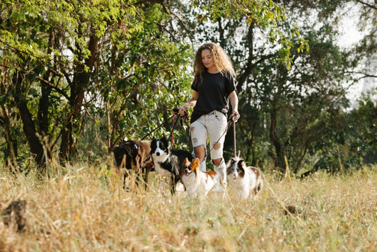 How to Manage Skin and Coat Health When You Have Multiple Pets