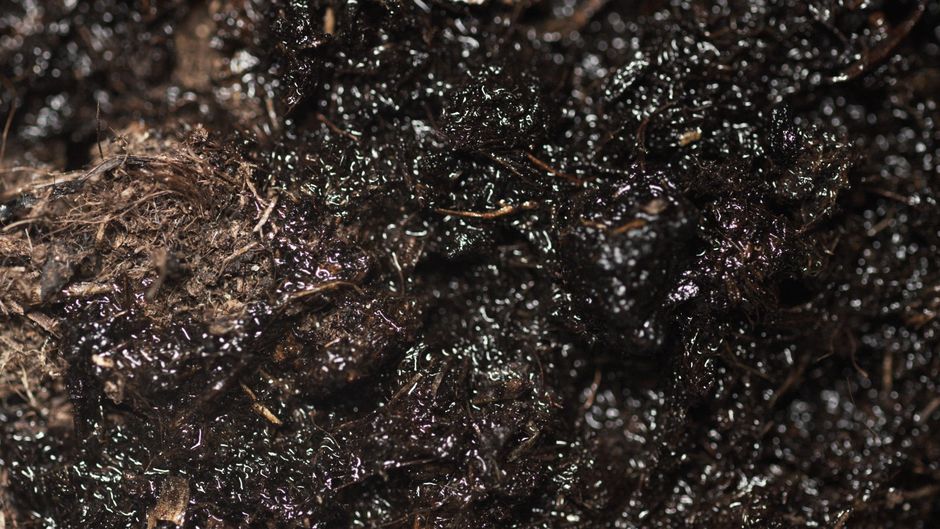 Why Potting Mix Collapses: How Substrate Structure Fails Before Fertilizer Does