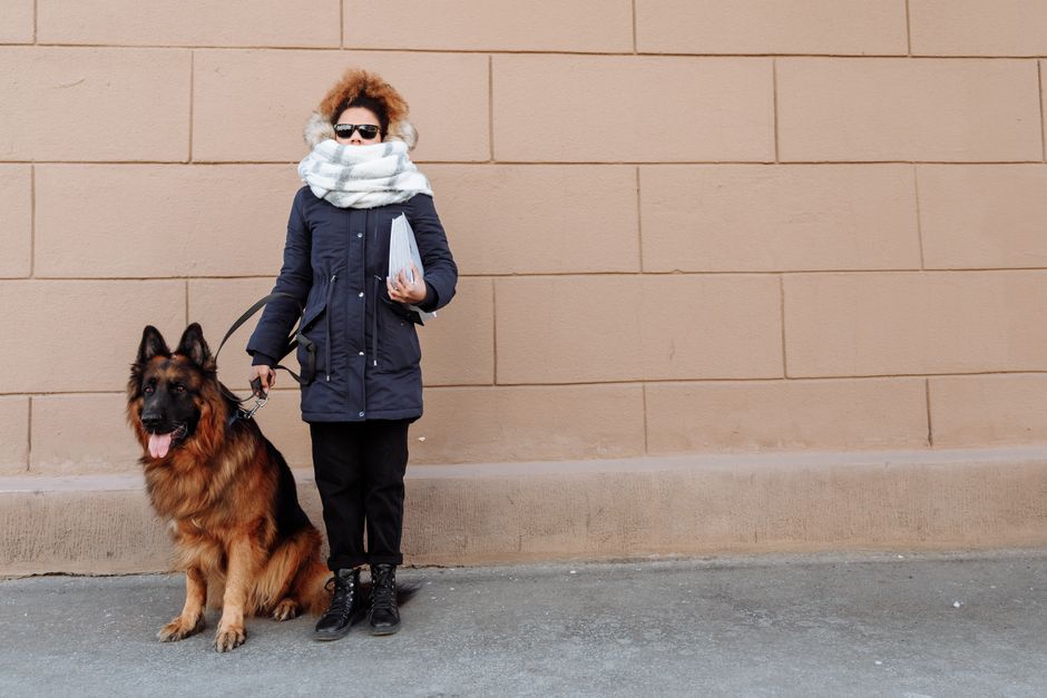 Winter Senior Pet Care: How to Protect Aging Joints, Skin, and Mobility in Cold Months