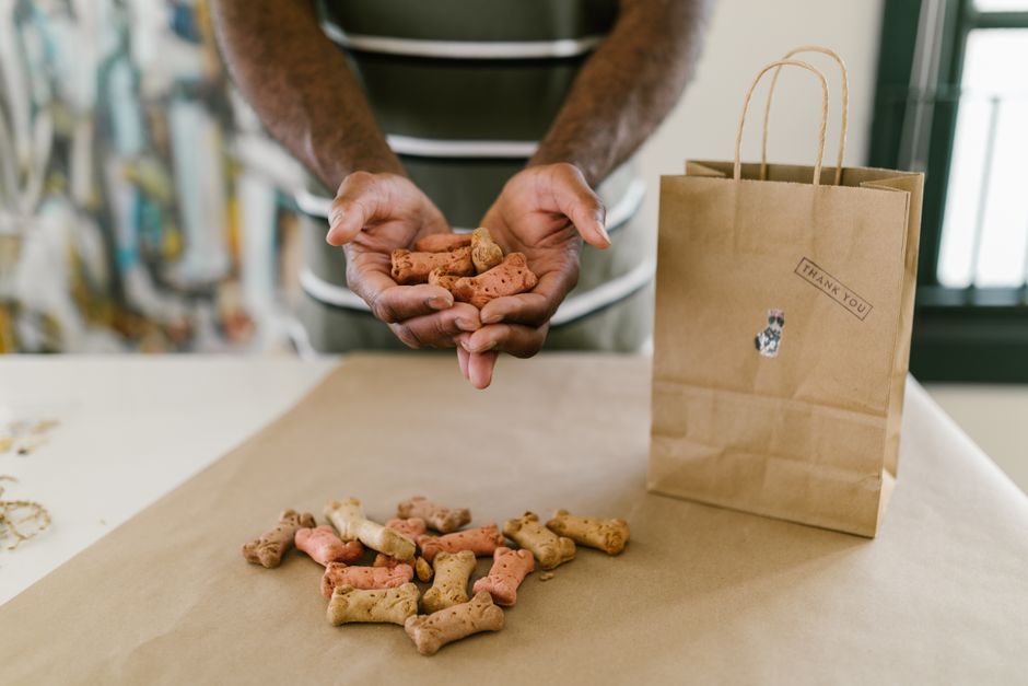Sustainable Pet Food in a Small Apartment: Reduce Waste Without Sacrificing Convenience