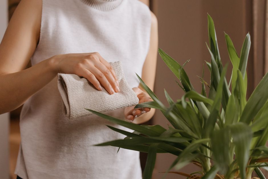 Natural Dehumidifier Maintenance: Eco-Friendly Cleaning and Care Guide