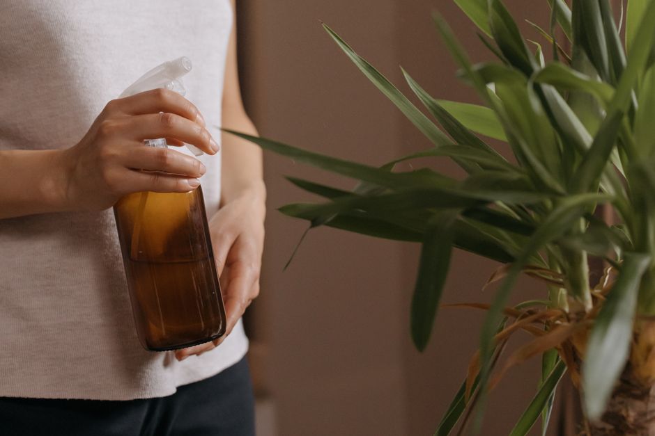 Monthly Air Purifier Care: A Simple Maintenance Routine That Actually Works