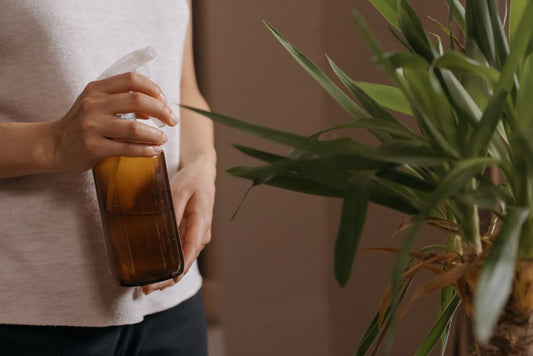 Monthly Air Purifier Care: A Simple Maintenance Routine That Actually Works