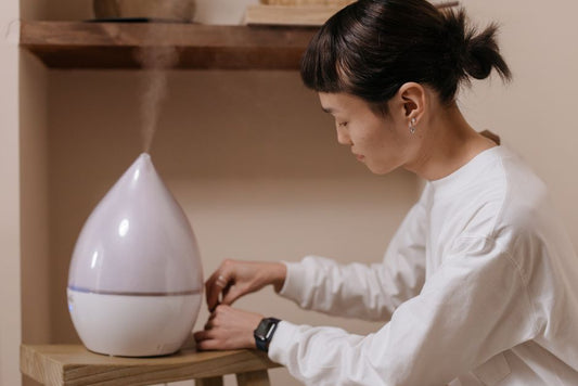 The Complete Deep Cleaning Guide for Whole House Humidifiers
