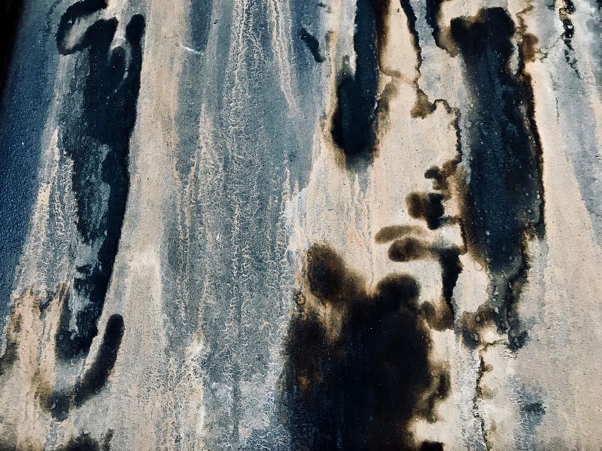 Why Mildew Keeps Returning on Surfaces Coated With Dried Detergent