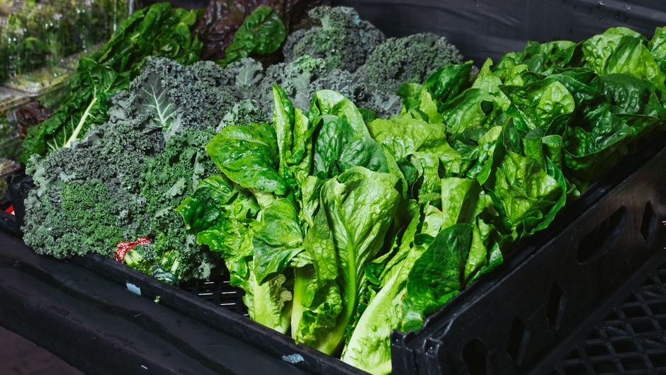 How to Keep Leafy Greens Fresh for Two Weeks: A Step-by-Step Guide