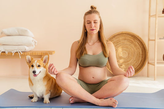 Physical Exercise and Mental Enrichment for Dogs: Why They Are Not Interchangeable