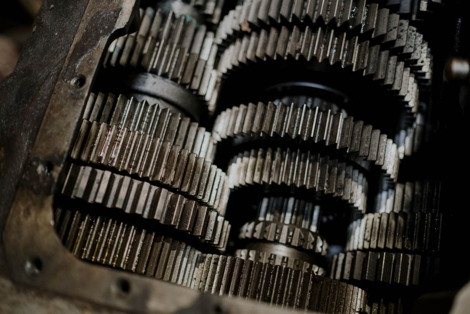 Pet Gear Repair or Replace? The Trade-Offs That Actually Matter