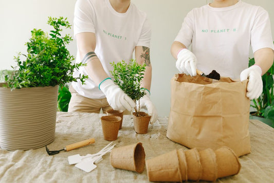 How to Start Composting at Home: A Step-by-Step Guide for Beginners