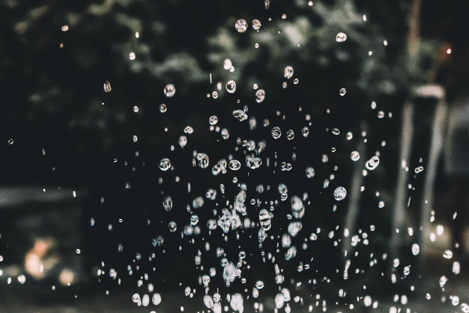 Rainwater Harvesting 101: A Practical Guide to Getting Started With Rain Barrels
