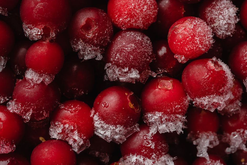 Why Your Blender Stalls on Frozen Fruit but Not on Ice