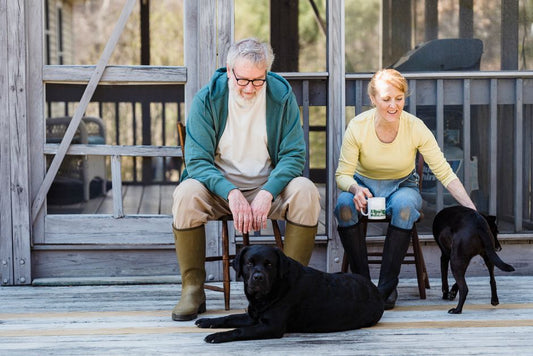 Emergency Preparedness for Senior Pets: A Practical Guide for Pet Owners