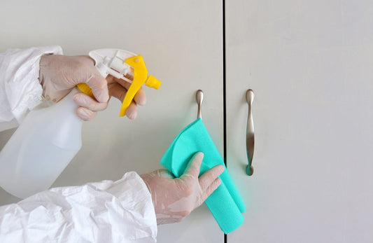 Professional Disinfecting Tips for a Healthier Home Environment