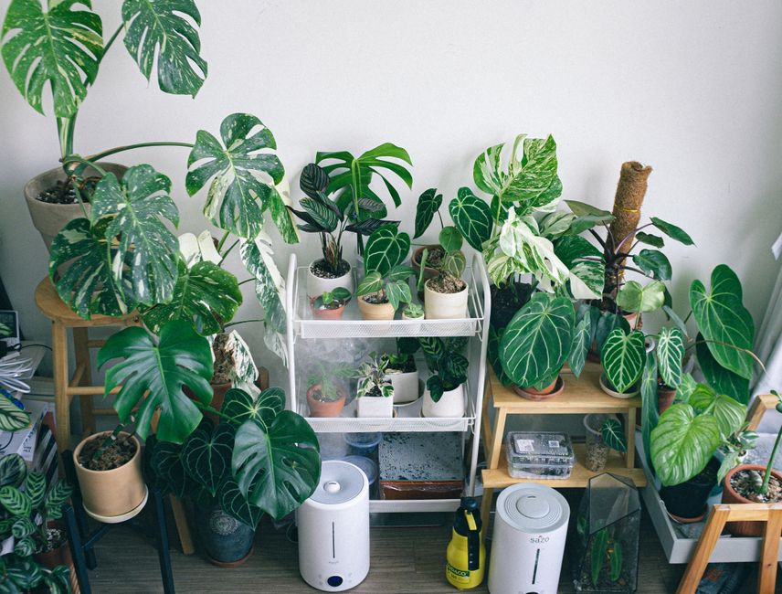 Monthly Maintenance Routine for Whole House Humidifiers