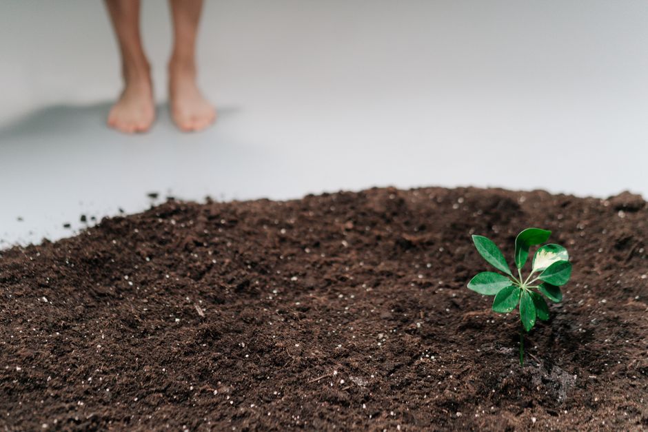 Why a Wilting Plant Isn't Always Thirsty: Soil Structure and Root-Zone Oxygen