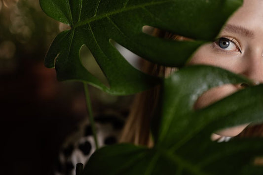 Why Your Monstera Looks Unhappy: A Practical Troubleshooting Guide
