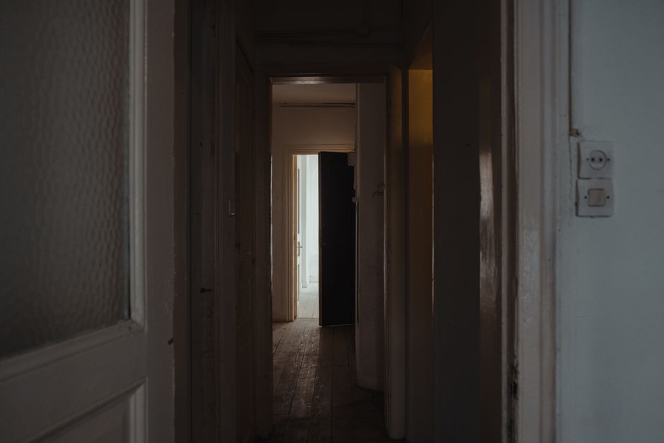 Dogs Who Bolt Out Open Doors: Why the Doorway Changes Everything