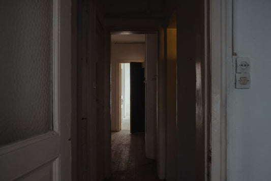 Dogs Who Bolt Out Open Doors: Why the Doorway Changes Everything