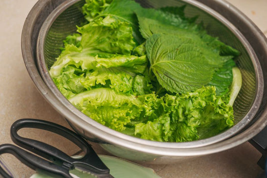 How to Keep Salads Fresh Longer: A Family's Guide to Crisp Greens Without Waste