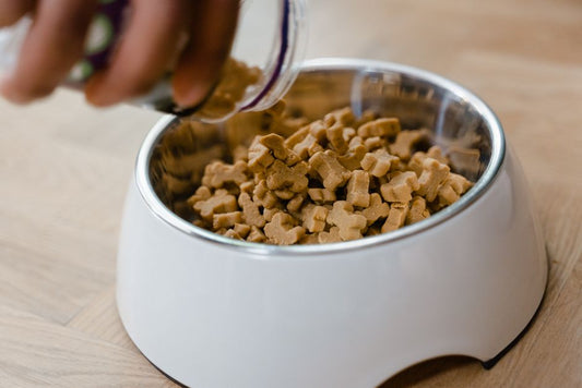 Feeding a Pet Through a Life-Stage Change: Why Adult Portions Don't Always Fit Growing, Pregnant, Or Aging Animals