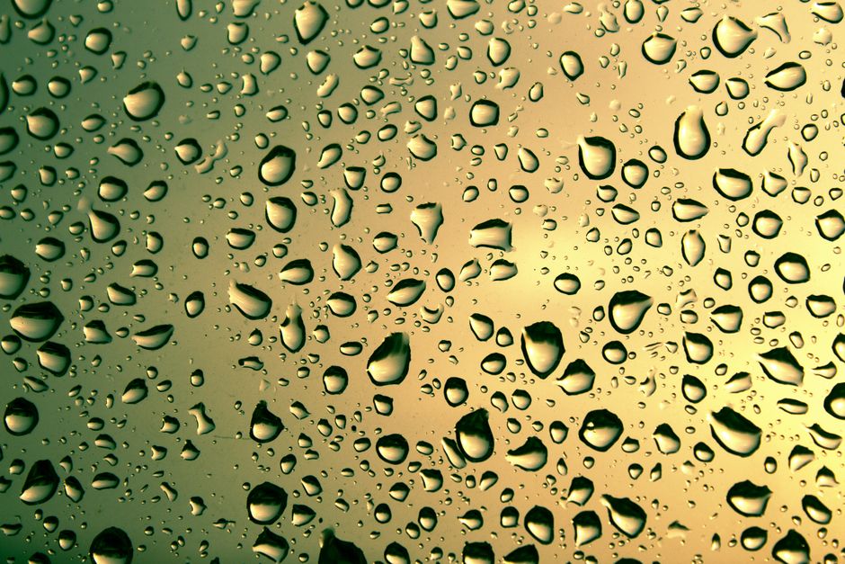 Why Hidden Moisture Damages Walls Before You See It