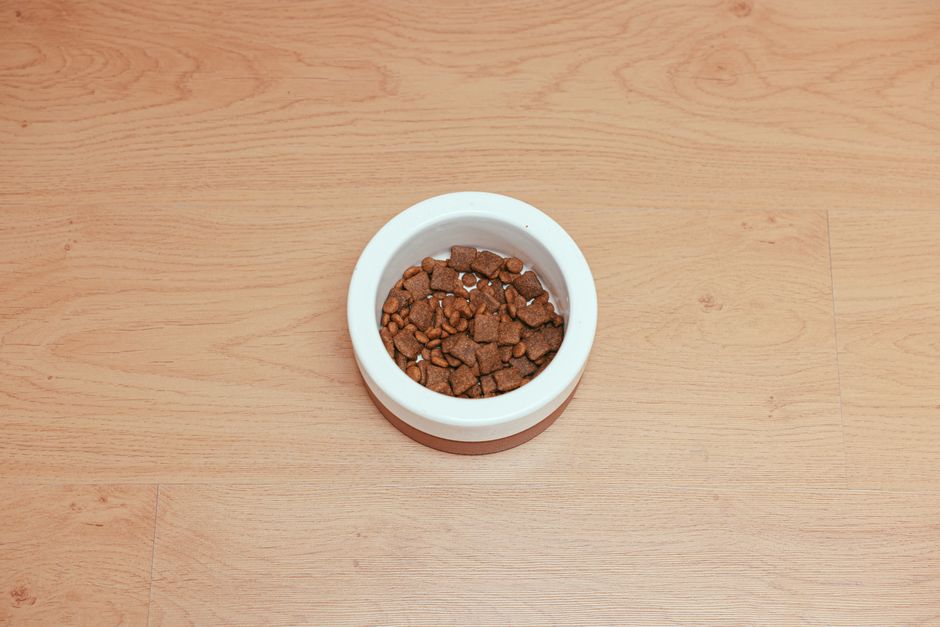 Is Grain-Free Pet Food Actually Better for the Planet?