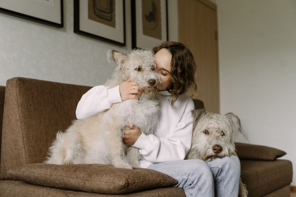 Paw Care Mistakes That Could Be Harming Your Dog