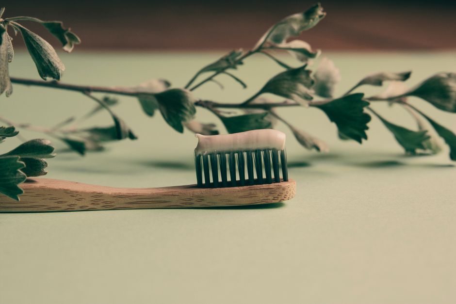 DIY Dental Care for Pets: Natural Plaque Removal Without Brushing