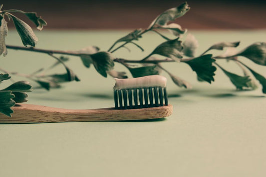 DIY Dental Care for Pets: Natural Plaque Removal Without Brushing
