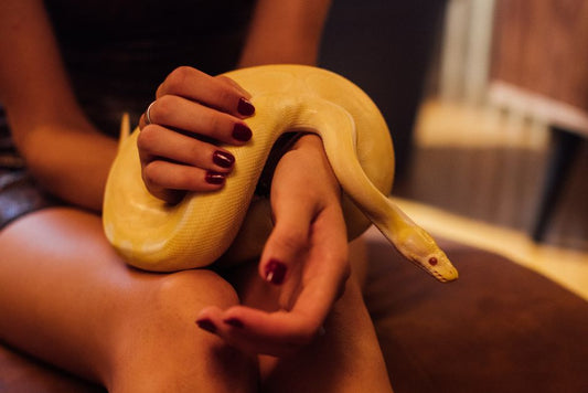 Hiding Places, Escape Routes, and the Real Meaning of Choice for Exotic Pets