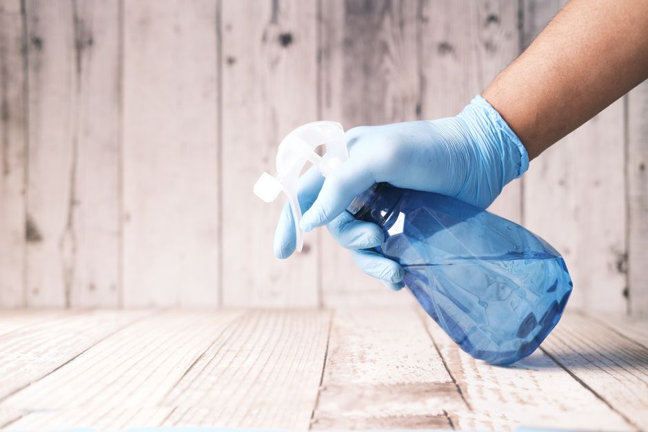 Cleaning vs. Sanitizing vs. Disinfecting Small Appliance Surfaces: What Actually Matters