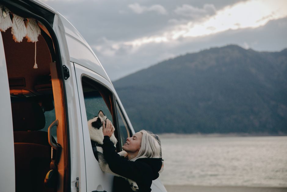 Budget-Friendly Pet Travel Essentials for Stress-Free Trips