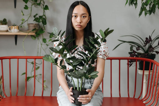 Essential Tools for Mastering ZZ Plant Care: A Practical System for Thriving Indoor Greenery