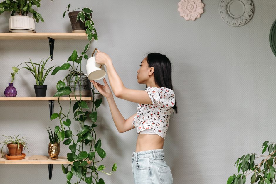 Why Hollow-Wall Anchors Can Hold a Shelf but Not a Person