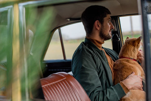 5 Common Pet Travel Mistakes That Ruin Trips (And How to Avoid Them)
